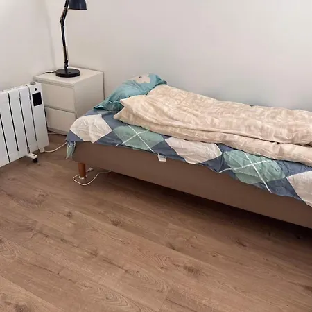 柠檬树